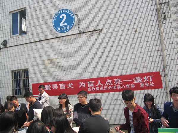 畜牧兽医系成功举办“牵起导盲犬,为盲人点亮一盏灯”活动