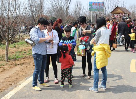 人文艺术系百人志愿服务天王樱花节