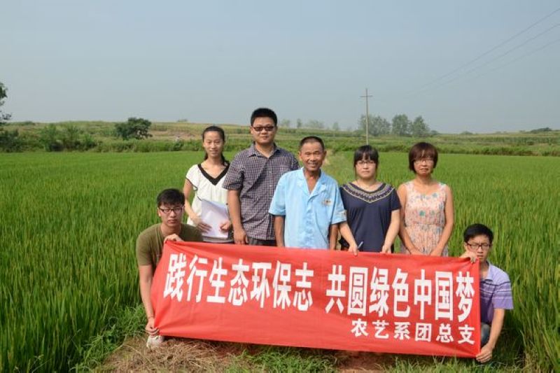 2013年暑期社会实践——凝聚青春正能量,共筑中国美丽梦