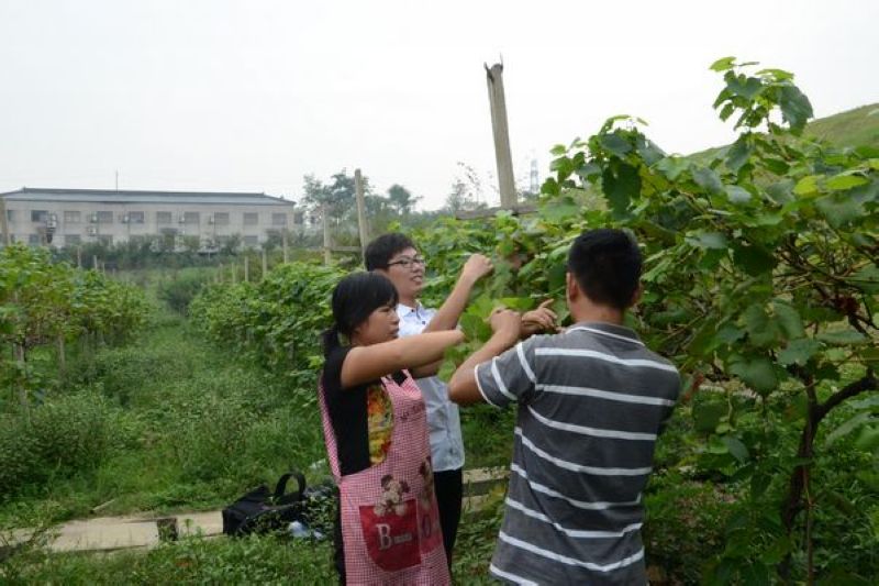 2013年暑期社会实践——凝聚青春正能量,共筑中国美丽梦