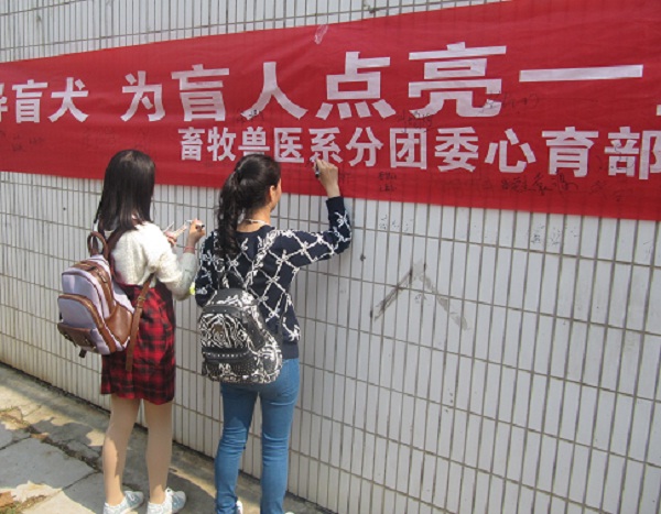 畜牧兽医系成功举办“牵起导盲犬,为盲人点亮一盏灯”活动