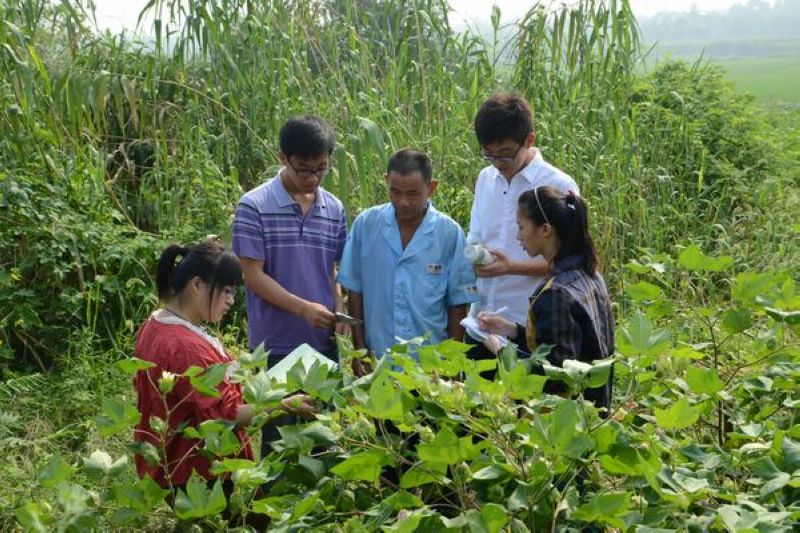 2013年暑期社会实践——凝聚青春正能量,共筑中国美丽梦