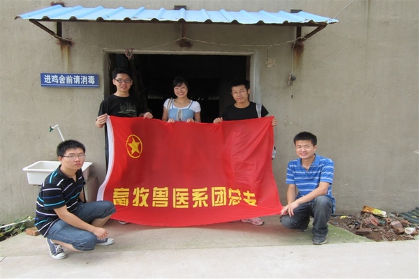 2012年暑期社会实践——畜牧兽医系扎实开展暑期社会实践活动