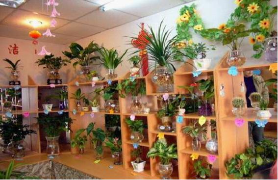 水培植物创业社团