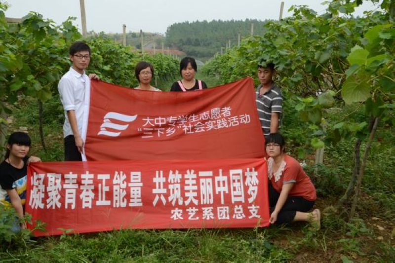 2013年暑期社会实践——凝聚青春正能量,共筑中国美丽梦
